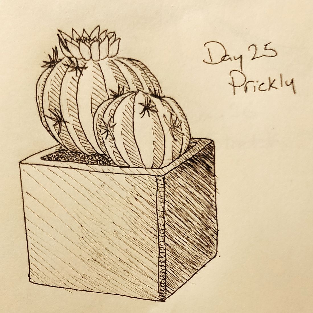 Day 25: Prickly